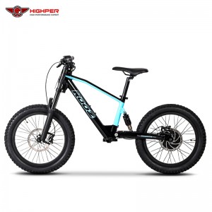 HP126E 20-inch electric balance bike